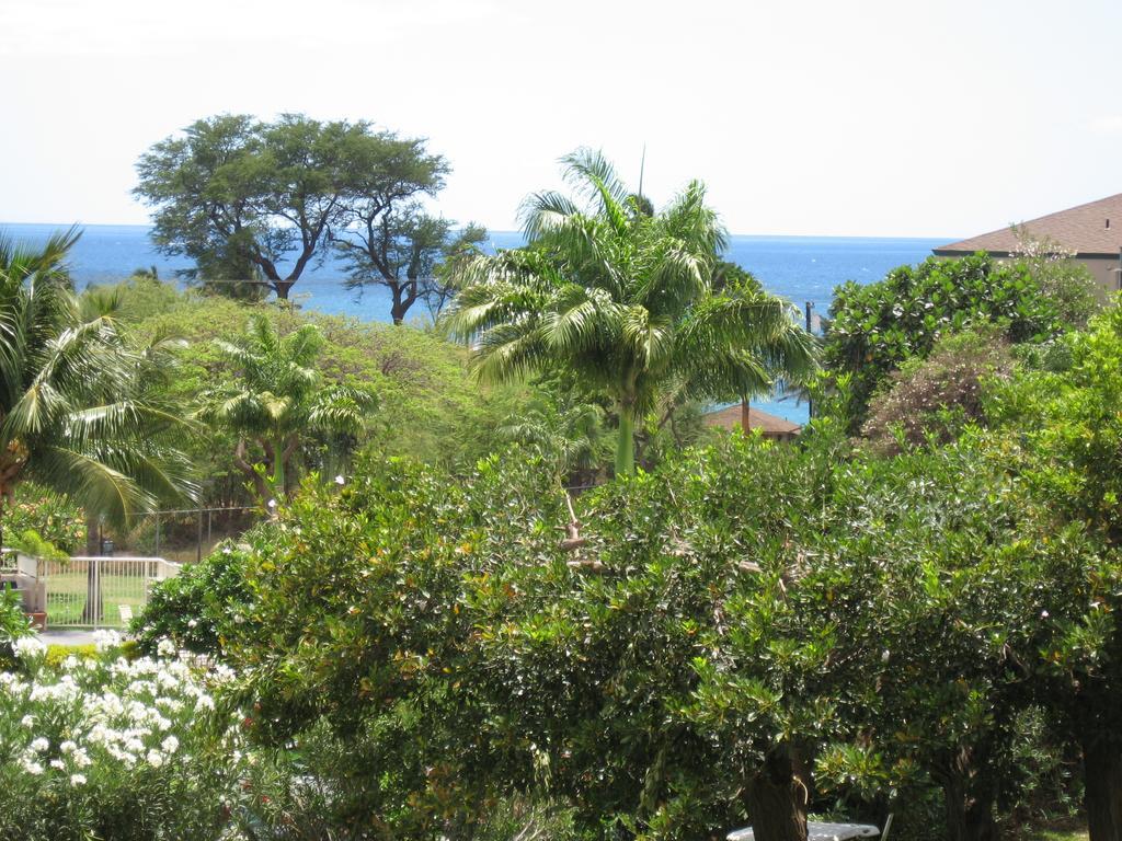 Maui Vista By Maui Condo And Home Кихеи Стая снимка