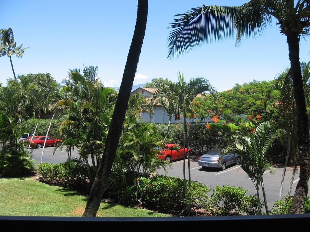 Maui Vista By Maui Condo And Home Кихеи Стая снимка